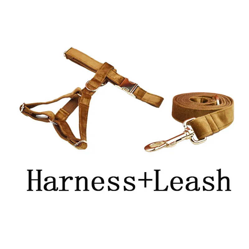 harness leash