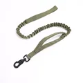Green Leash