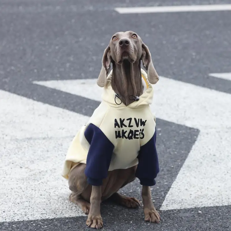Primavera otoño 2 patas Patchwork perro grande Sudadera con capucha perro Golden Retriever Labrador trajes disfraz de moda para perros medianos y grandes - imagen 2