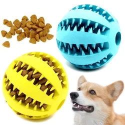 Juguete dental para perros – Bola masticable de caucho natural
