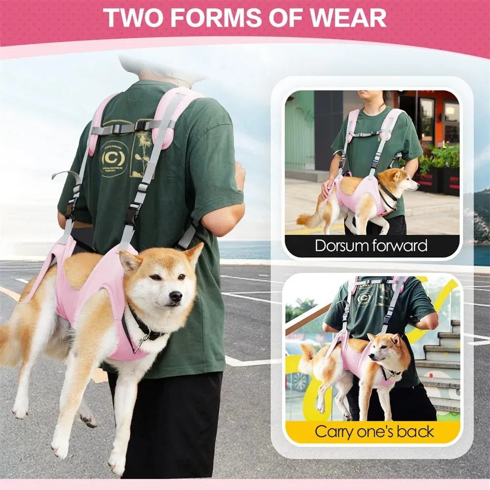 Mochila para mascotas, cesta para cosas de perros, accesorios para mascotas, bolsas de transporte para gatos, bolsa de transporte, suministros, productos para el hogar y el jardín - imagen 4