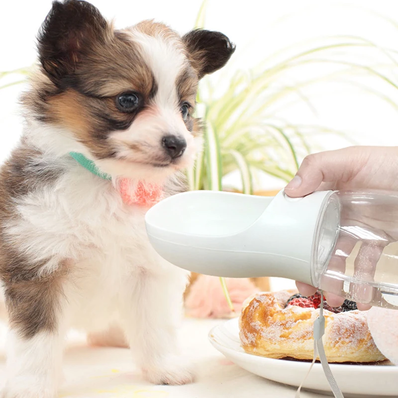 Botella de Agua para Perros - imagen 3
