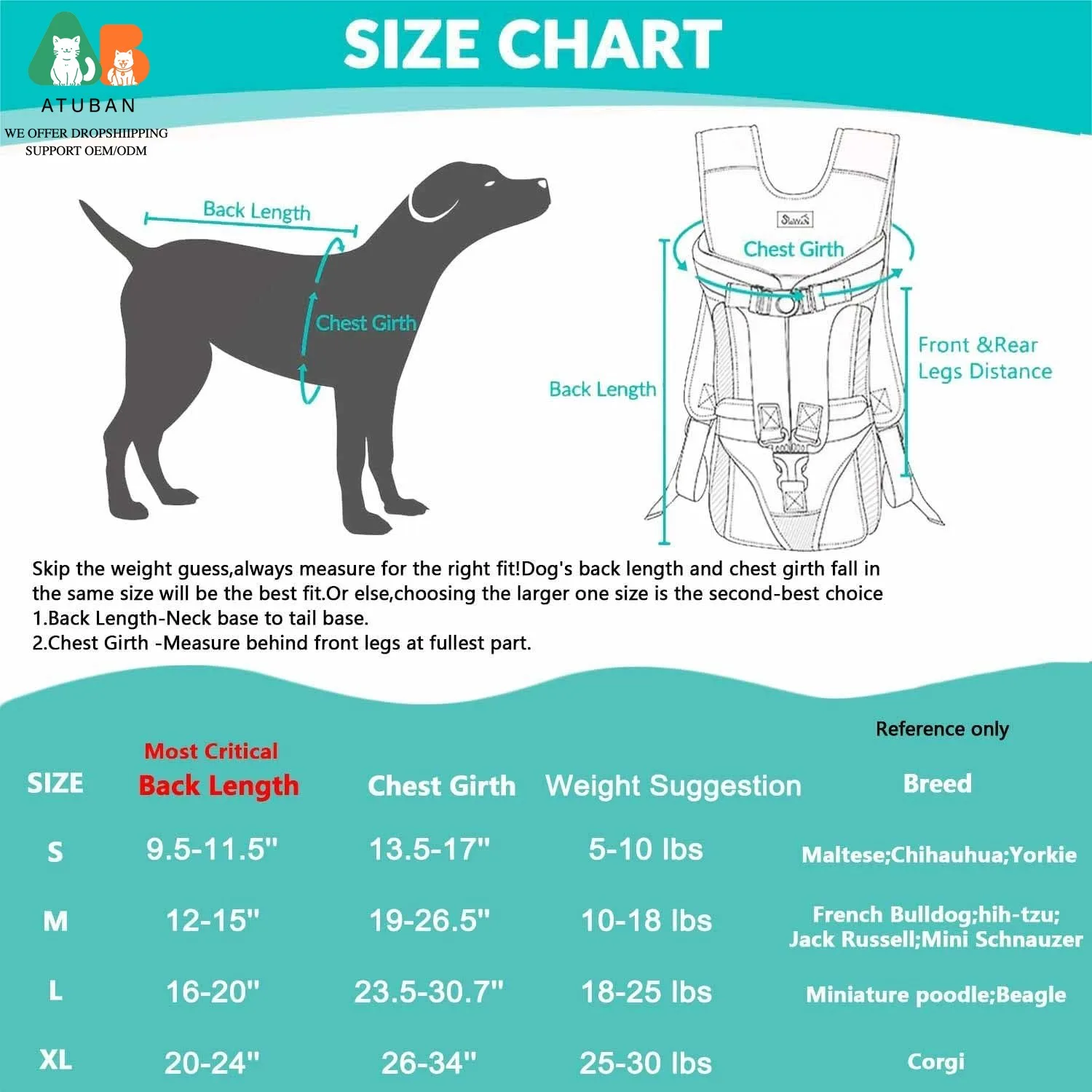 Porta perros deportivo para perros pequeños – Bolso manoslibres - imagen 2