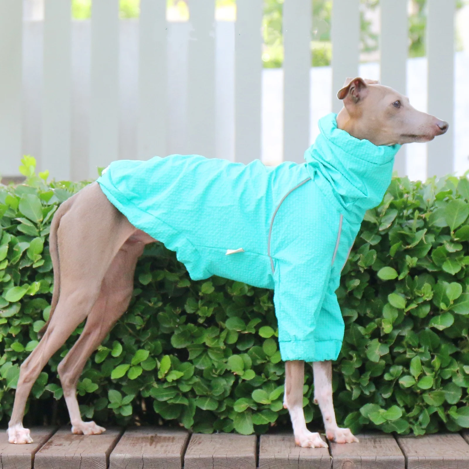 Traje negro de secado rápido para perros mediados, chaqueta transpirable, protector solar a prueba de lluvia, cuello alto, abrigo azul ajustable para galgo italiano - imagen 5
