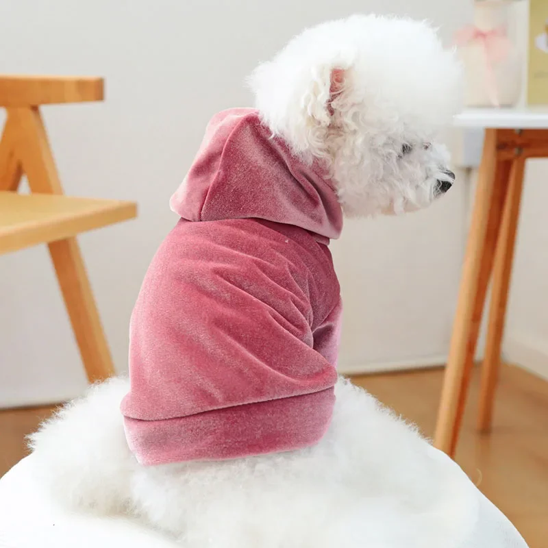 Sudaderas con capucha de terciopelo a la moda para perro, ropa para mascotas rosa, gris y azul para perros pequeños, trajes para perros Pomerania, chaqueta para cachorros - imagen 2