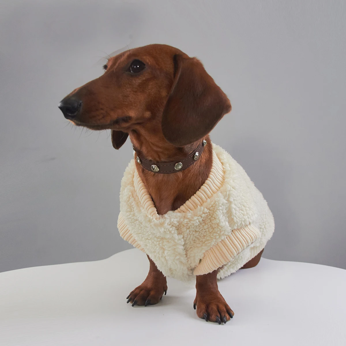 Chaqueta de sudadera de lana para perros Wiener, chaleco blanco cálido de invierno de manga corta para perros de tejón Dachshund en clima frío - imagen 2