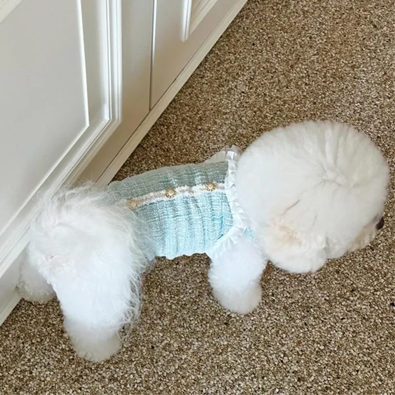 Nueva colección de primavera para mascotas, chaleco de princesa para gatos, bonito encaje con perlas, perro pequeño, ropa para cachorros, vestidos para perros pequeños - imagen 5