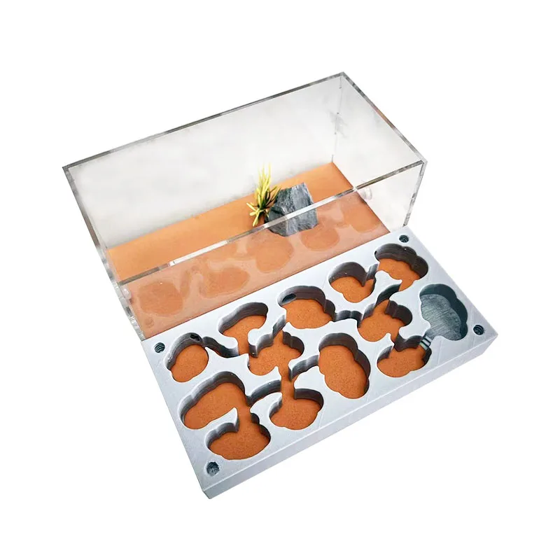 3D Acryl Ant Farm Ecological Flat Ant Nest with Feeding Area Gypsum Ant House Pet Anthill Workshop Moisturizing Water Pool New - imagen 3