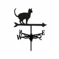 Cat 3