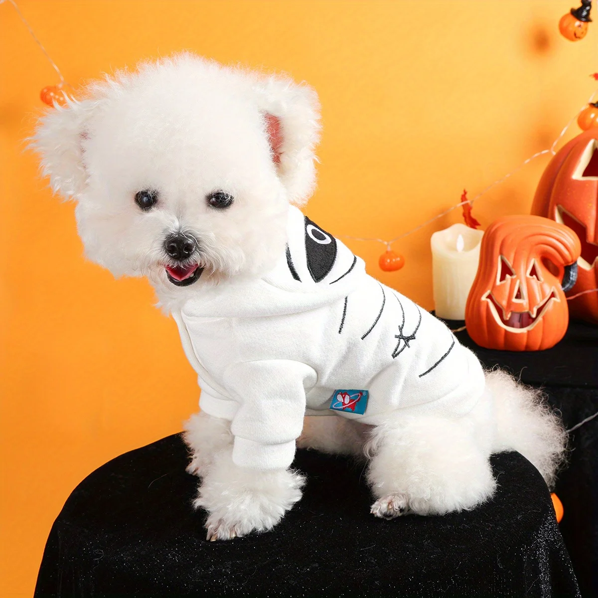 Suéter de Halloween para mascotas, chaqueta con capucha blanca cálida con botones abiertos y bordado divertido, ropa suave para mascotas para perros y gatos para perros pequeños - imagen 4