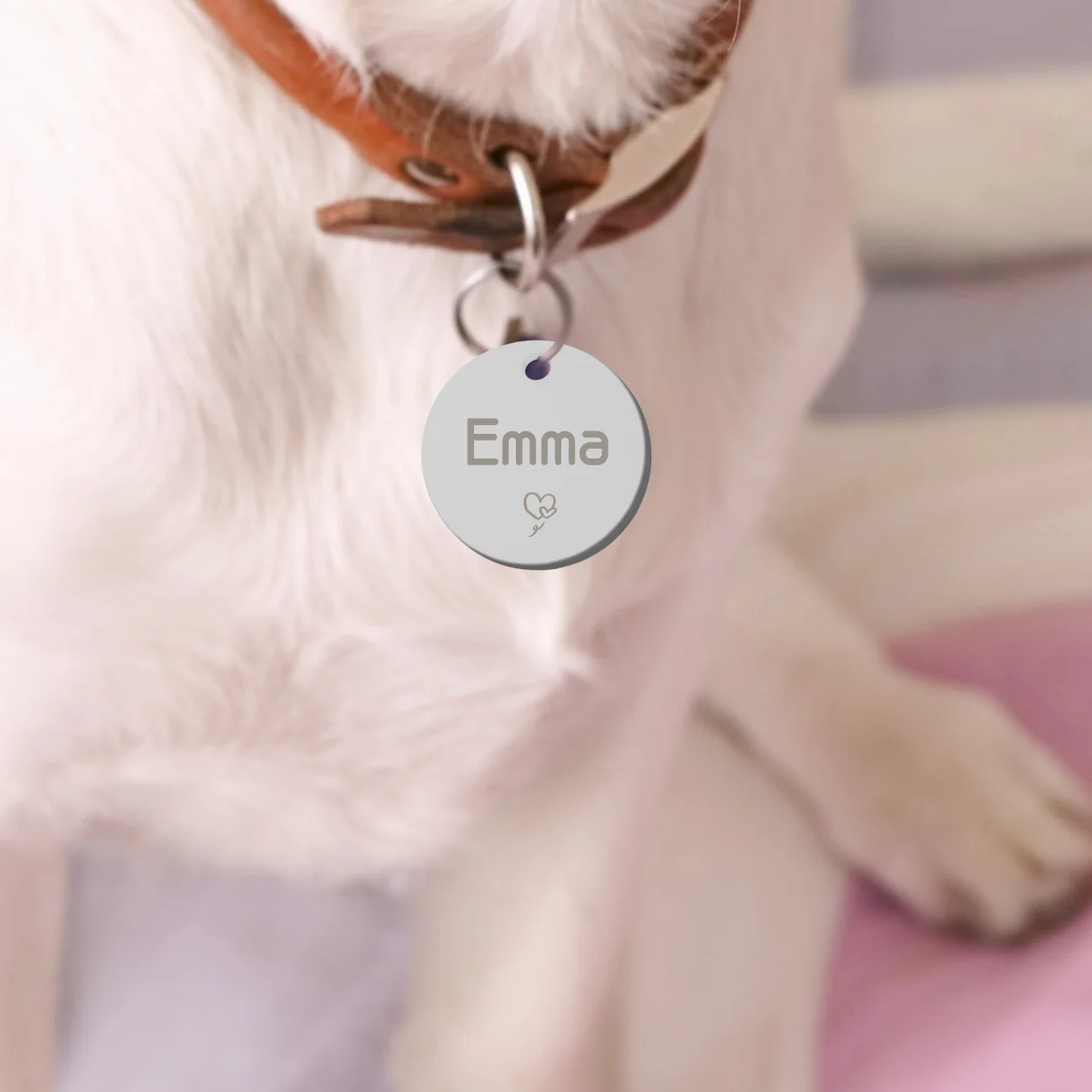 Etiqueta de identificación circular para mascotas, etiquetas de dirección personalizadas para perros, placa con nombre antipérdida para cachorros, etiqueta colgante personalizada para gatos, suministros para mascotas - imagen 5