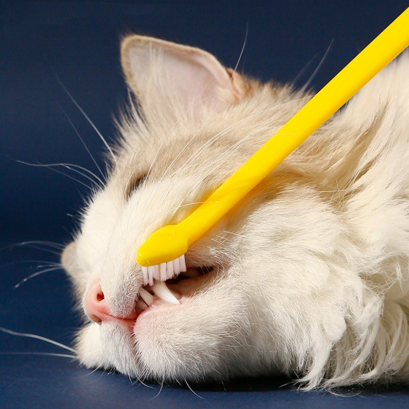 Cepillo dientes doble cabeza gatos - Detalle del bucal