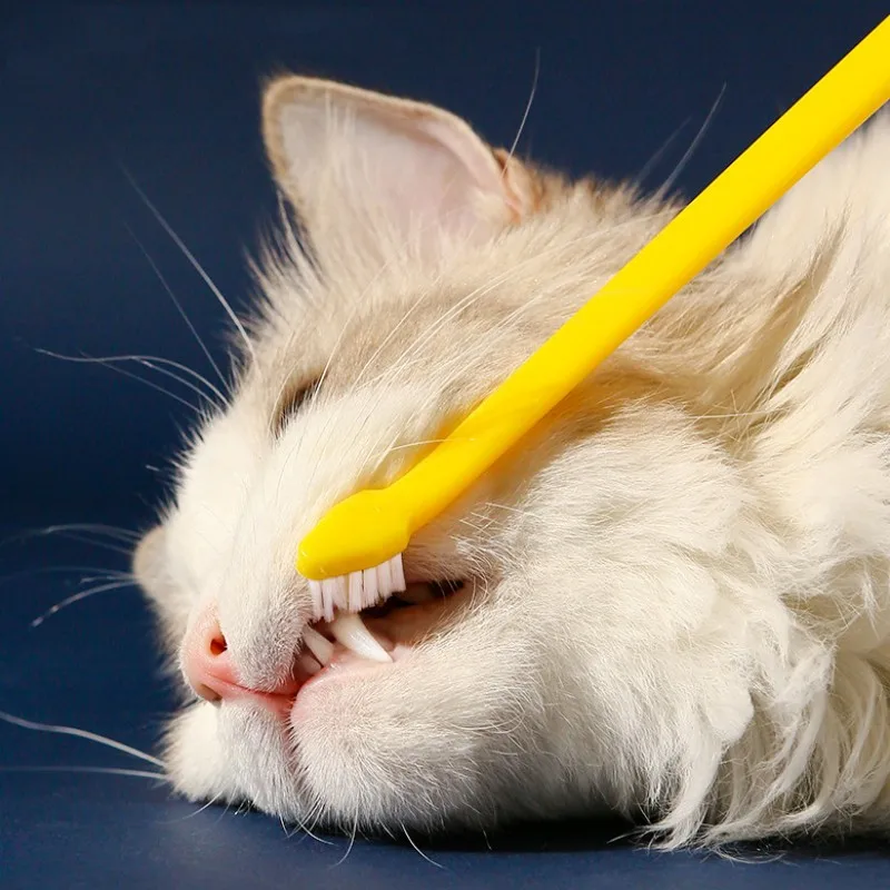Cepillo de dientes de doble cabeza para gatos, limpieza bucal, pelo suave, mango largo, accesorios para mascotas - imagen 2