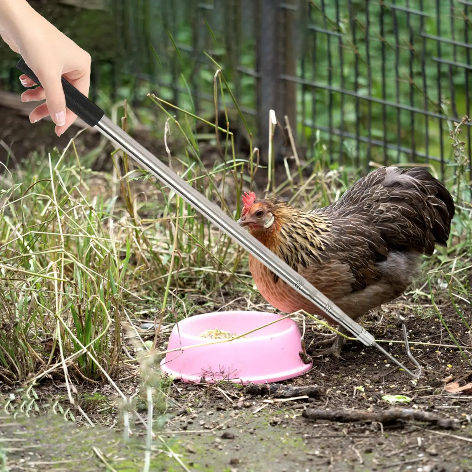 Gancho para patas de pollo portátil con poste de extensión para patos y patos al aire libre