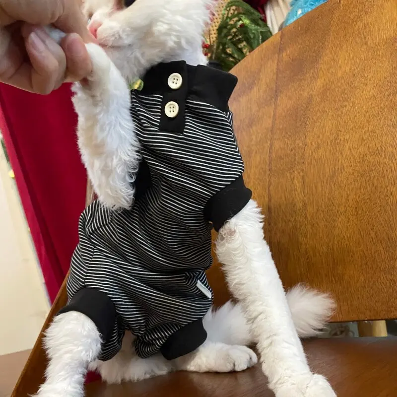 Body de punto para gatos sin pelo Sphynx y Devon Rex – Protección abdominal - imagen 4