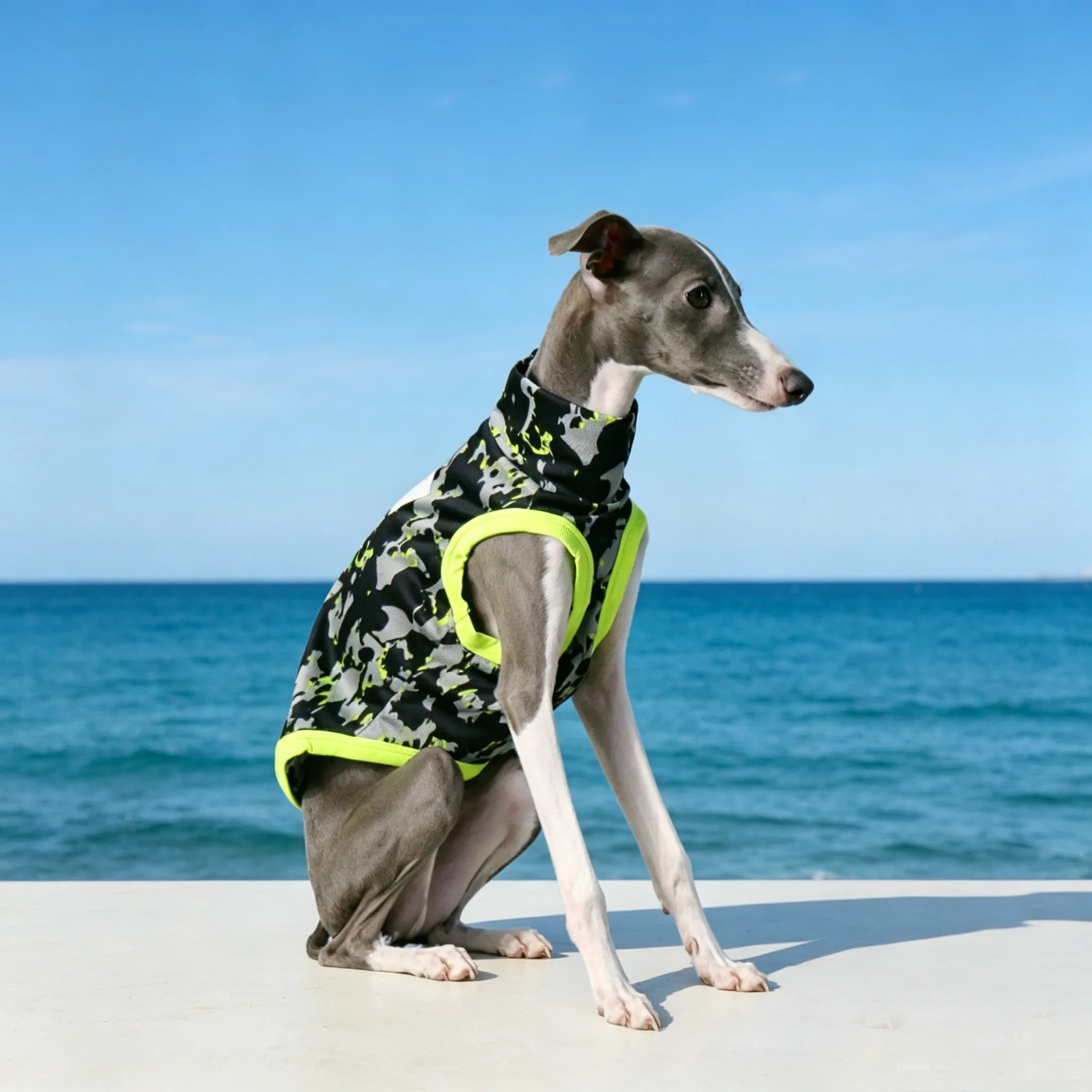 Chaleco de verano para Whippet y Galgo Italiano, secado rápido - imagen 5