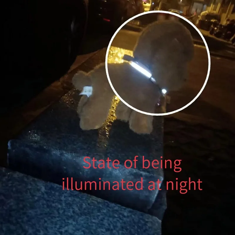 Collar reflectante para gatos, anillo para el cuello, campana, suministros para mascotas, Collar reflectante ajustable elástico de seguridad, productos para mascotas - imagen 2