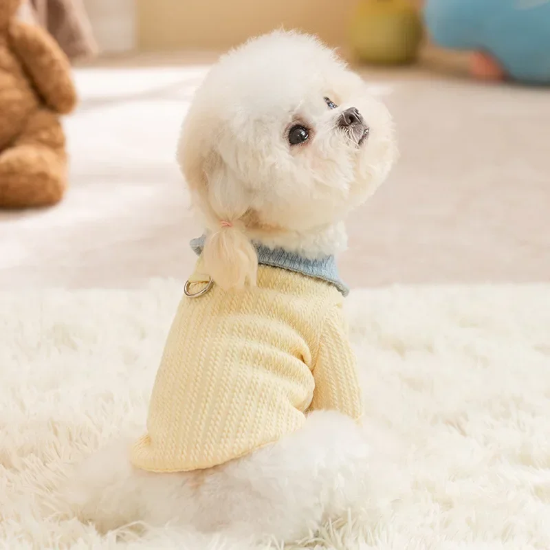 Camiseta invierno bloques color para gatos y perros mini – Dos patas - imagen 3