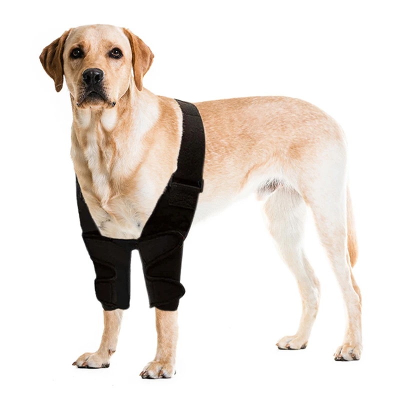 Protector de patas delanteras ajustable para perros medianos y grandes - imagen 2