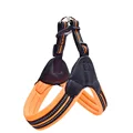 Harness Orange