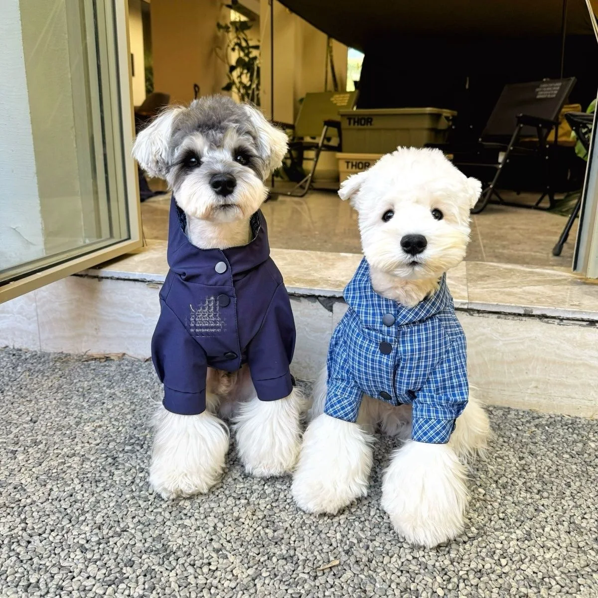 Chaqueta con capucha a cuadros para mascotas, Parkas cálidas de doble cara para perros, chaqueta de peluche Schnauzer, ropa para cachorros, perros pequeños, otoño e invierno - imagen 2