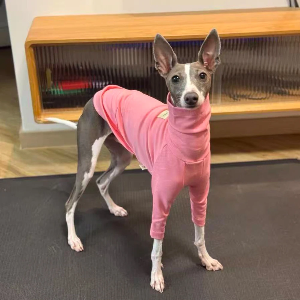 Ropa para perros galgo italiano, camiseta de cuello alto para Whippet, pijamas de algodón suaves de manga larga, abrigo rosa para Whipbit - imagen 3