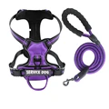 Purple Harness Set