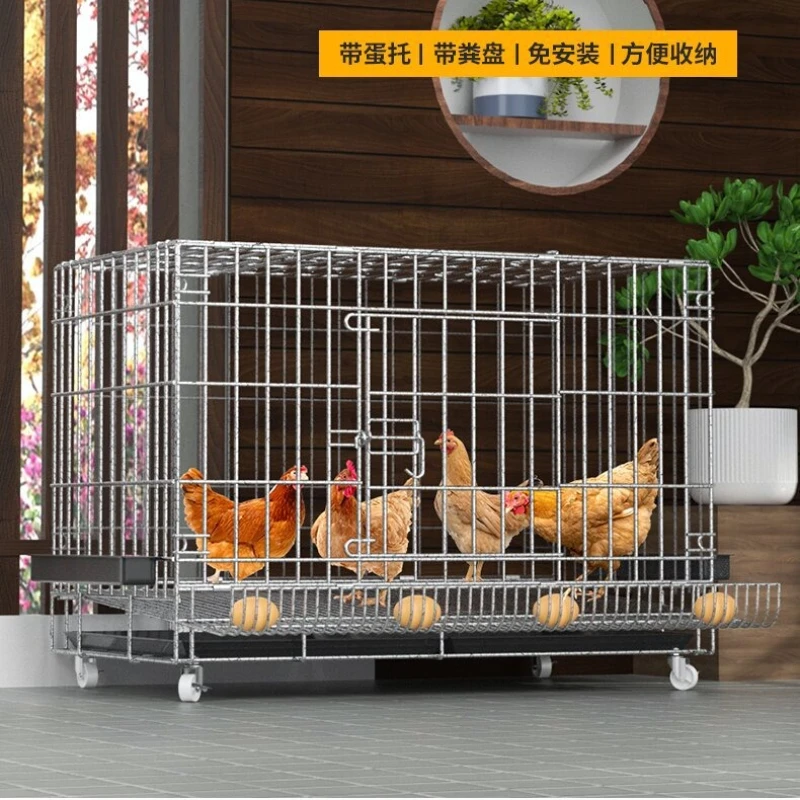 Gallinero plegable para criar gallinas y recoger huevos – Interior y exterior