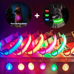 Collar LED nocturno USB para perros pequeños y gatos