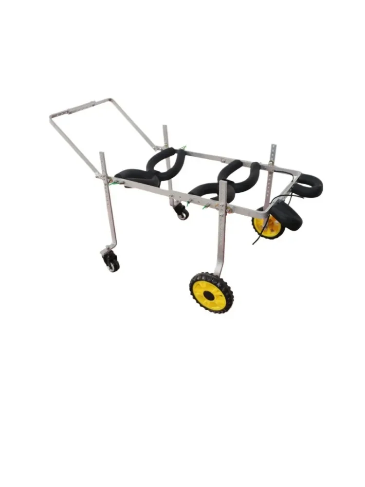 Silla de ruedas para perros – movilidad patas traseras