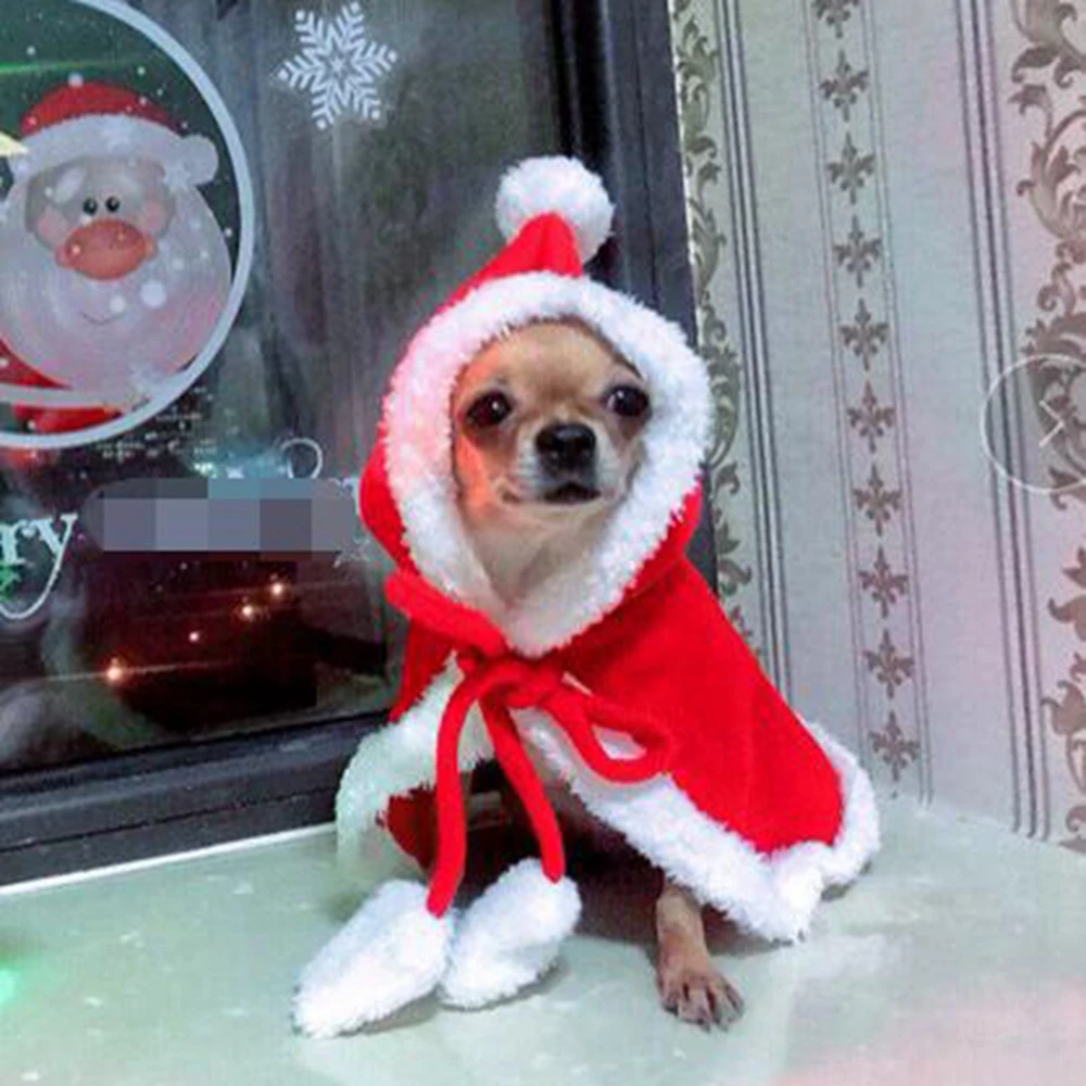 Disfraz Navideño Papá Noel para Mascotas - imagen 3