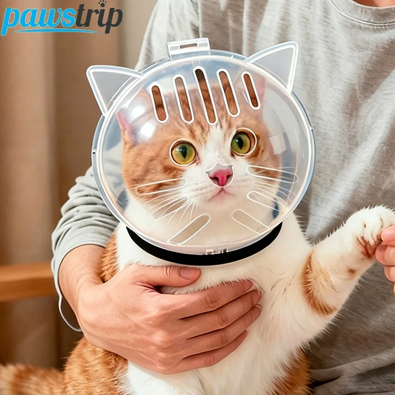 Cono isabelino para gato – Protector transparente anti-lamido - imagen 3