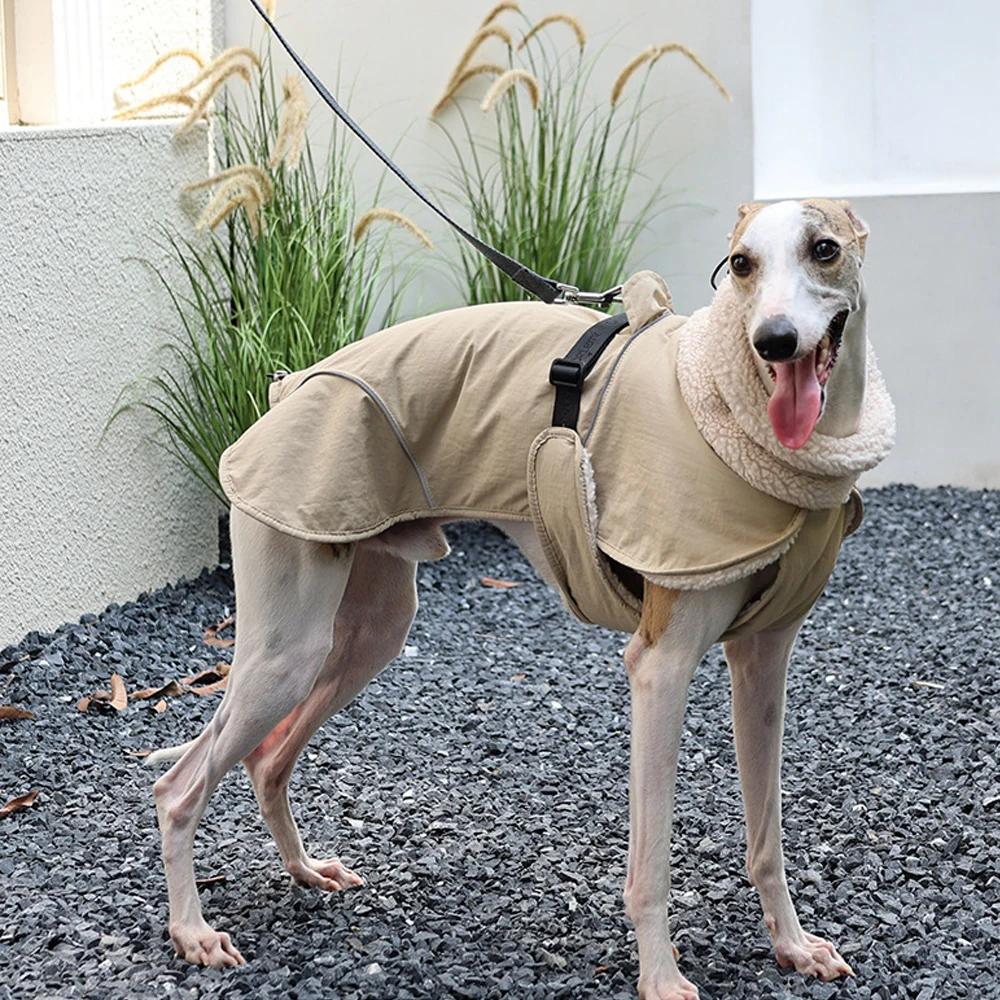Abrigo grueso y cálido de manga para perros Whippet en invierno, chaqueta a prueba de viento, bufanda de lana, traje para galgo italiano en clima frío - imagen 3