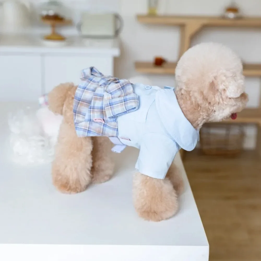 Ropa de estilo Ins para mascotas, falda a cuadros con camisa para mascotas, conjunto de ropa para cachorros, disfraz para perros, Otoño e Invierno - imagen 3
