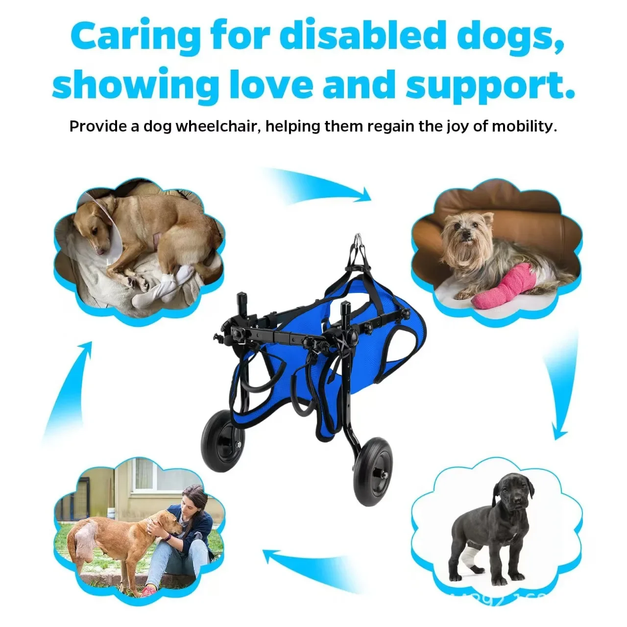 Carrito móvil con soporte de rehabilitación para perros y gatos - imagen 3