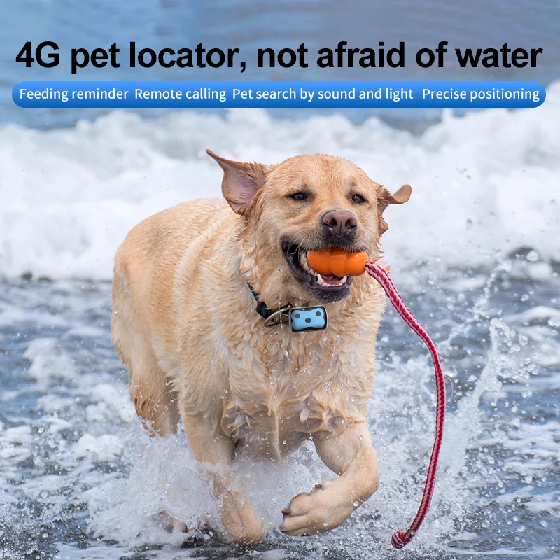 Rastreador GSM GPRS para mascotas, posicionador GPS para perros a prueba de agua, dispositivo localizador, geo-valla Lbs, aplicación gratuita, dispositivo de seguimiento, suministros para perros - imagen 3