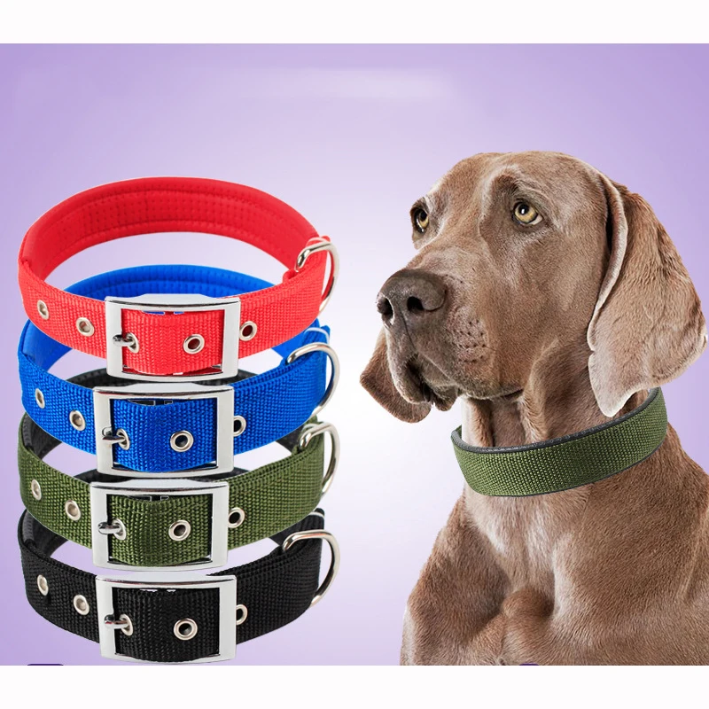 Collares de perro sólidos Collar de perro de nailon para perros pequeños, medianos y grandes Teddy Keji Pitbull Bulldog Beagle - imagen 2