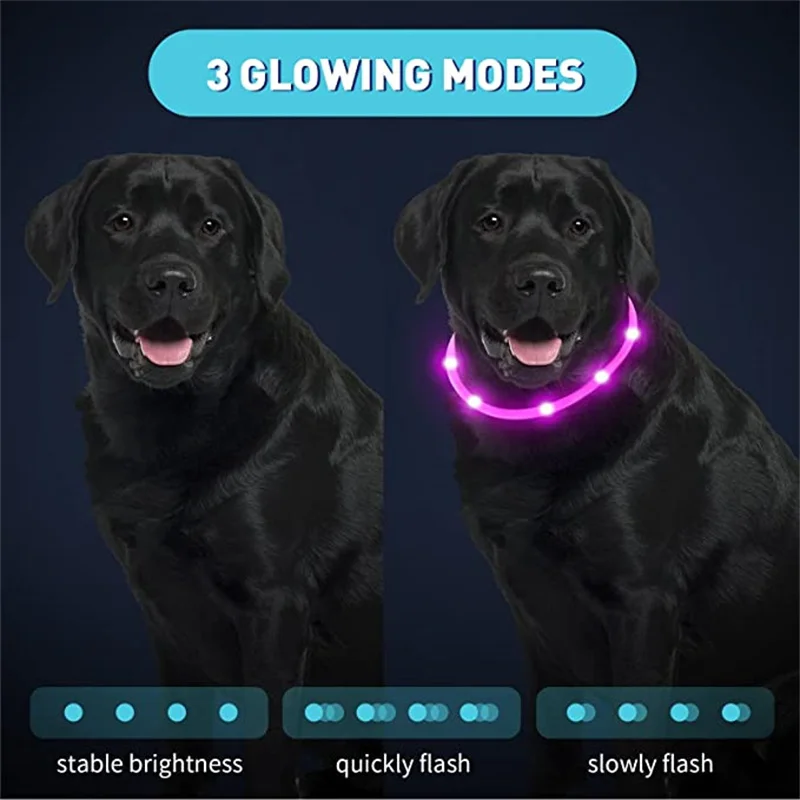 Collares luminosos recargables por USB para perros y gatos, luces intermitentes para cachorros pequeños, medianos y grandes, Collar para perros luminoso LED - imagen 3