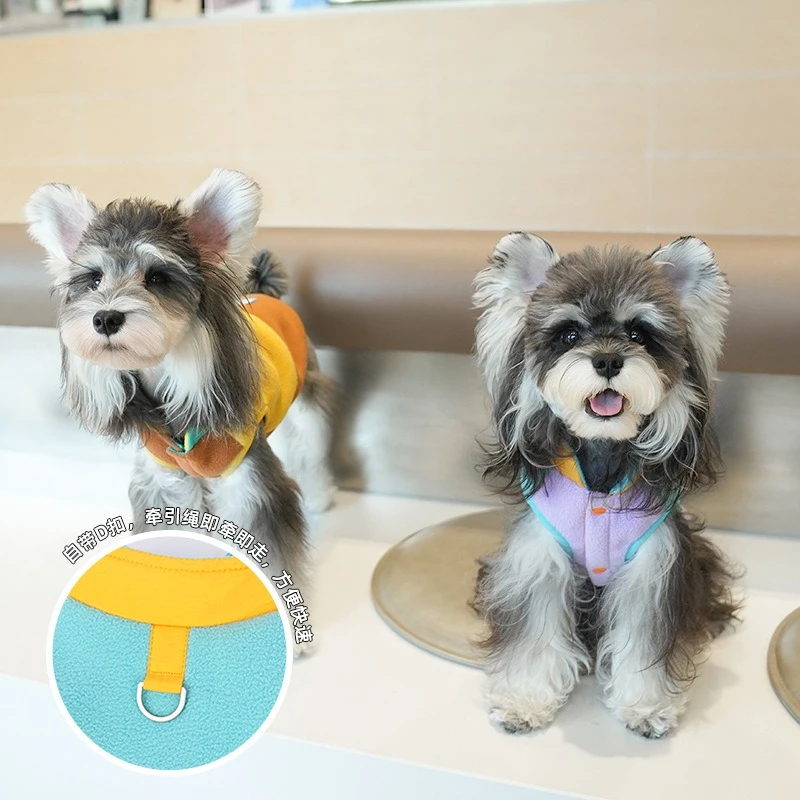 Chaleco de retazos de otoño e invierno para mascotas, abrigo para perros pequeños y gatos, chaleco de dos patas con oso de peluche, ropa para cachorros, ropa para perros pequeños - imagen 2