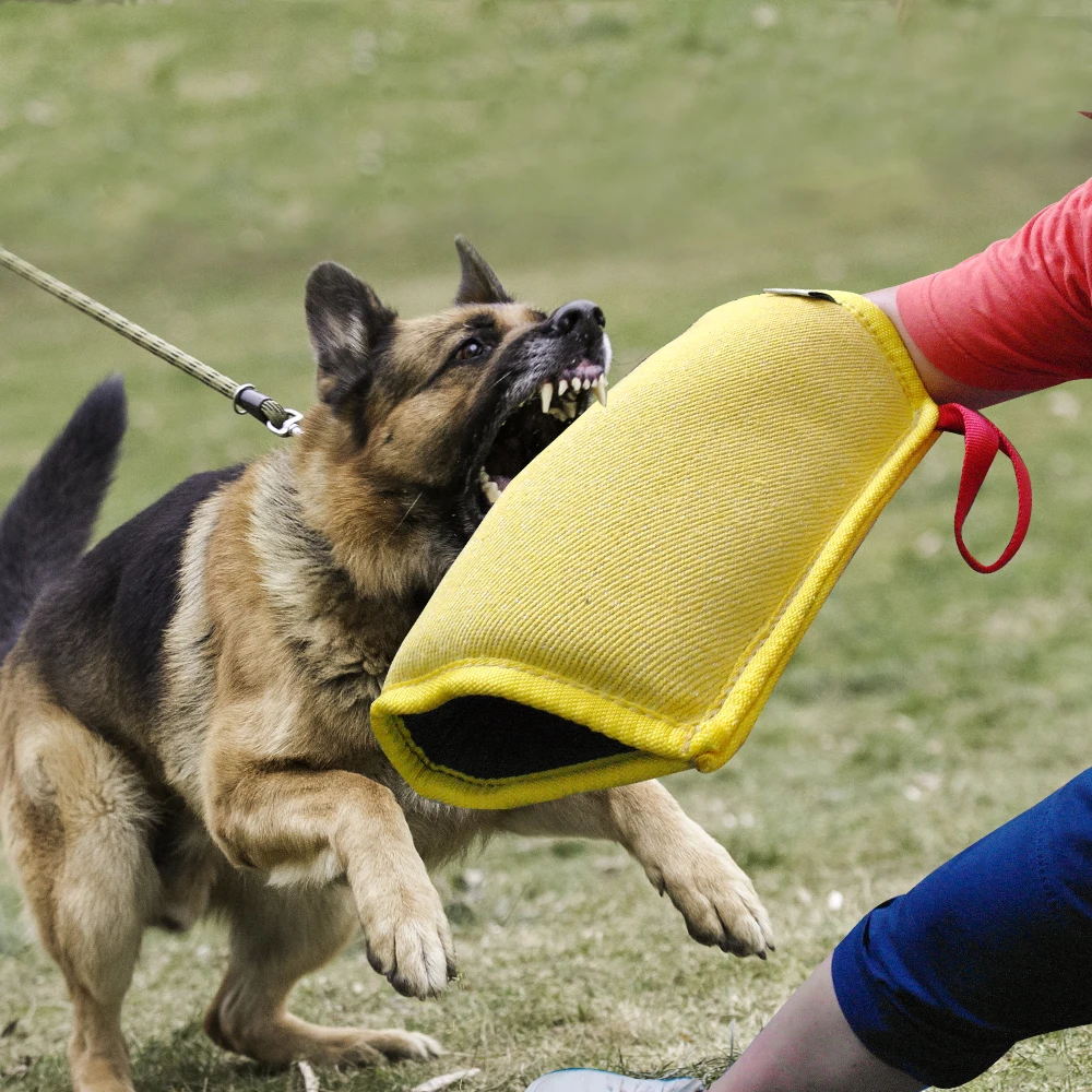Mangas de entrenamiento para mordedura de perro, juguete para mascotas, funda de protección para el brazo para entrenamiento de mordeduras de perro joven malois Pastor Alemán - imagen 4