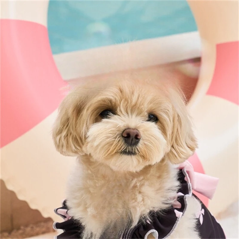 Traje de baño con estampado de lazo de primavera para mascotas, mono con tirantes, traje de baño de dos piernas para gatos, Top para perros de peluche, ropa para cachorros pequeños - imagen 4