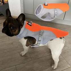 Chaleco refrescante para Bulldog Francés y perros pequeños