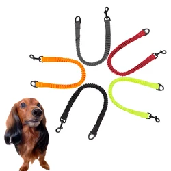 Correa extensible con amortiguación para perro – Cuerda elástica de paseo