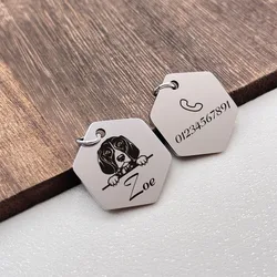 Placa hexagonal personalizada para perro y gato – Acero inoxidable