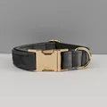 Dog Collar