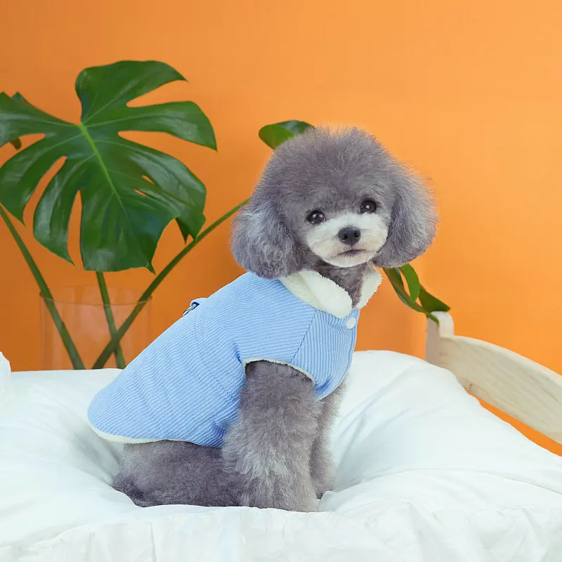 Ropa de invierno para perros, abrigo de algodón cálido de pana Simple de Color sólido, ropa para gatos de peluche, ropa para mascotas - imagen 2