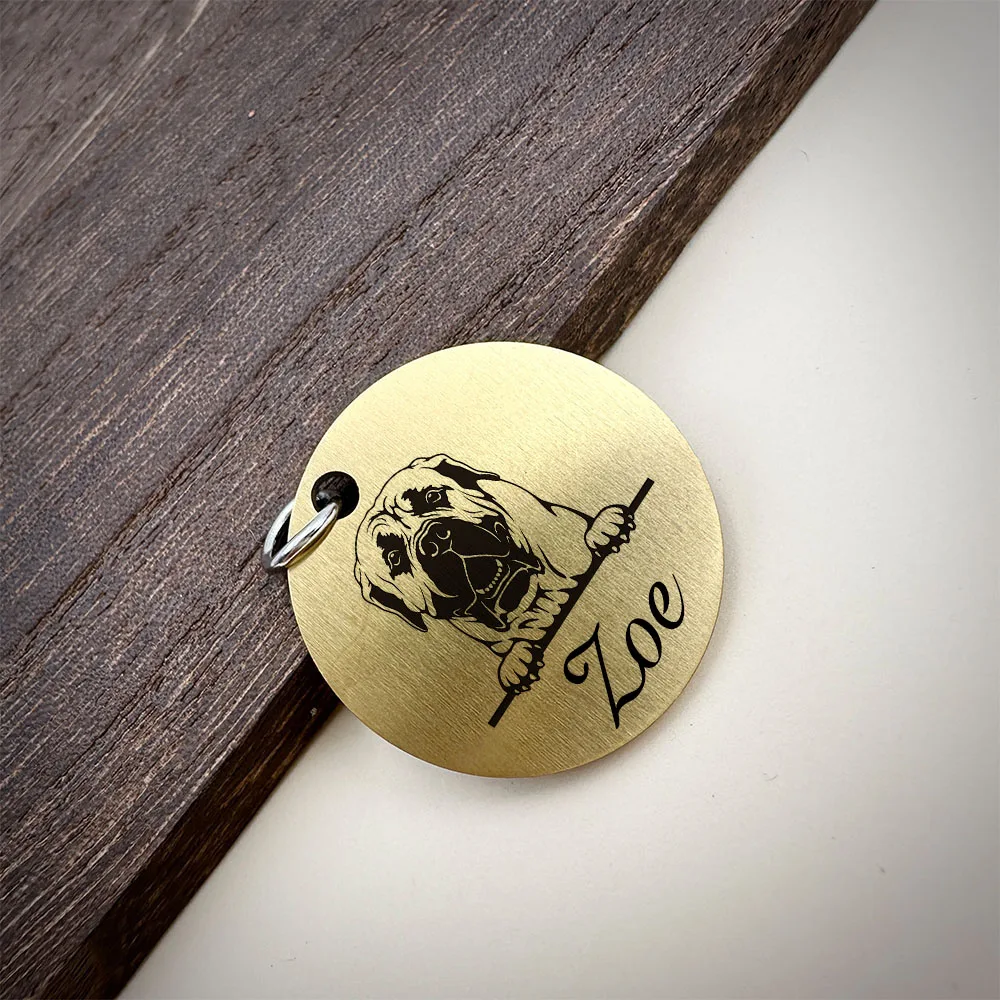Placa identificativa acero inoxidable mate para perros y gatos - imagen 3