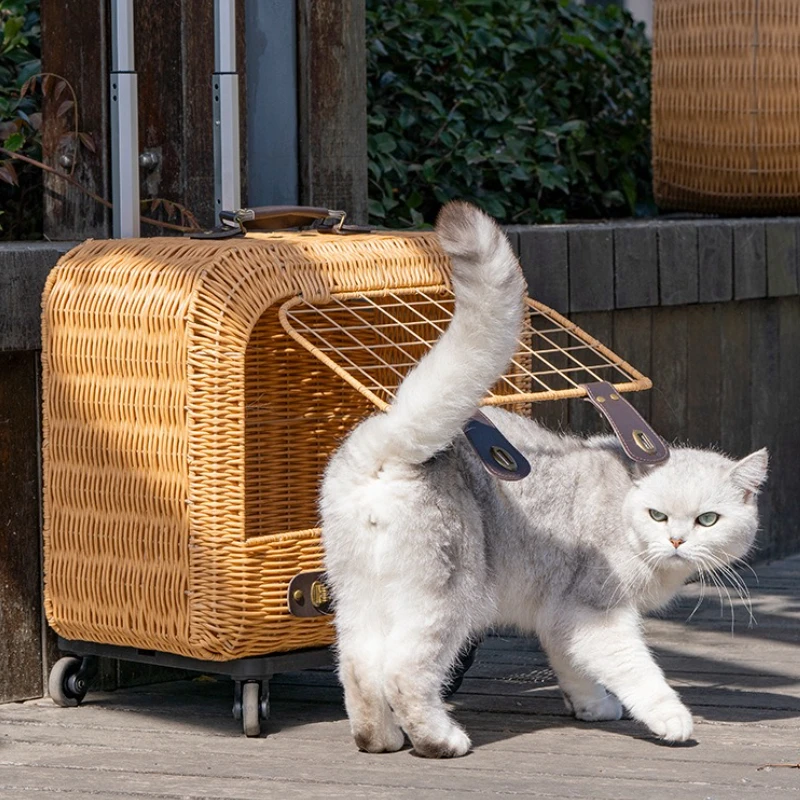 Transportín portátil para gatos, bolsa para gatos hecha a mano, cubierta de carrito, viaje transpirable de verano, rueda transportadora para cachorros y gatos, producto para mascotas al aire libre - imagen 2