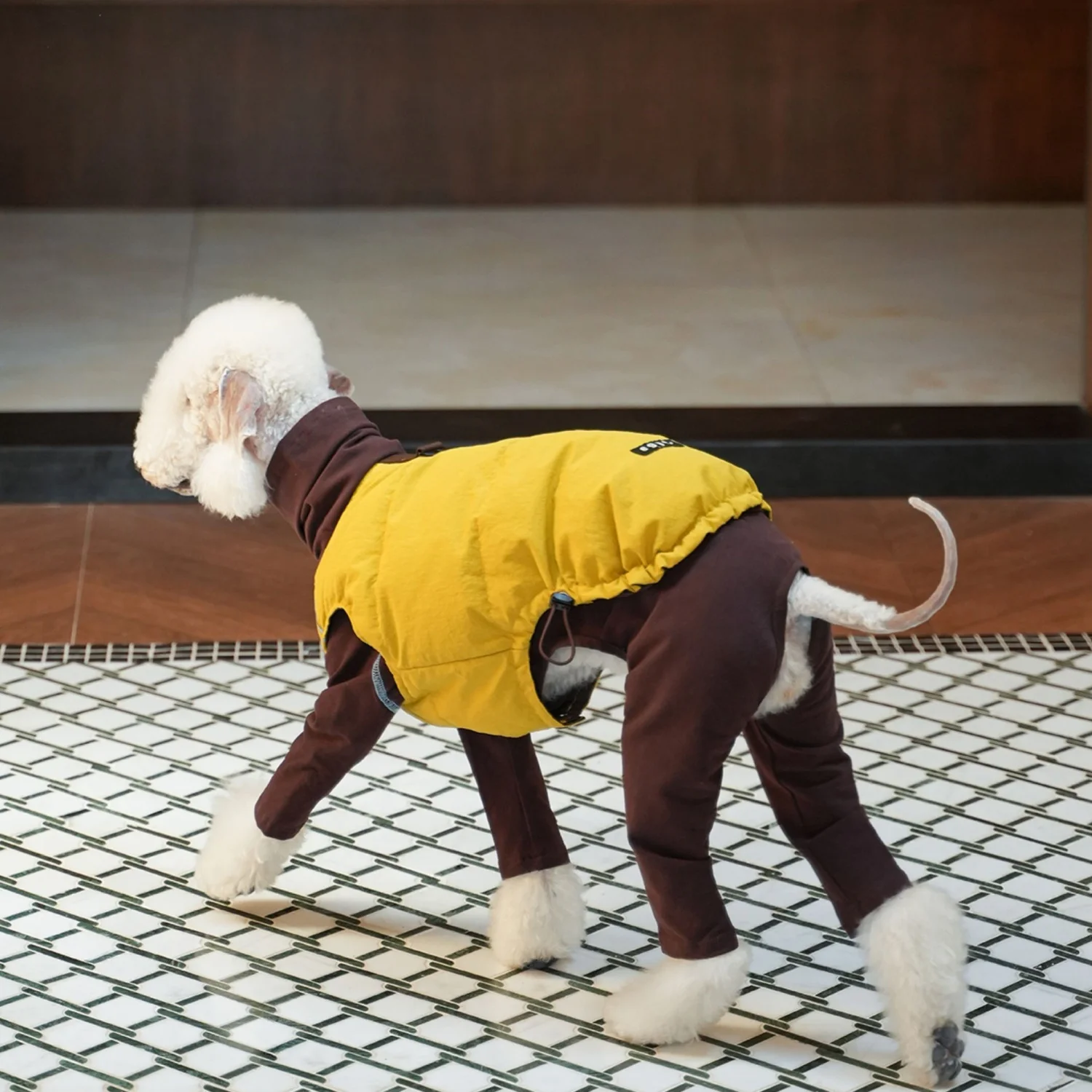 Abrigo de plumón de pato blanco en dos lados para usar en Bedlington en invierno Chaqueta impermeable amarilla gruesa con botones en la espalda para Whippet en clima frío