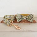 Bow Tie Collar Leash